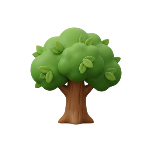 Oak